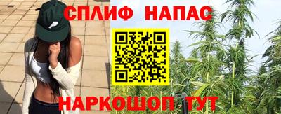 трава Анжеро-Судженск