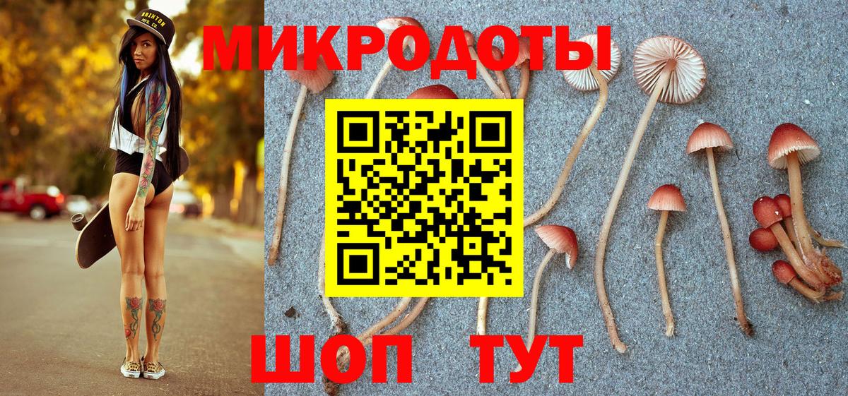 Мурманск  Псилоцибиновые грибы Cubensis  Вход с VPN  цены   Псилоцибиновые грибы GOLDEN TEACHER 